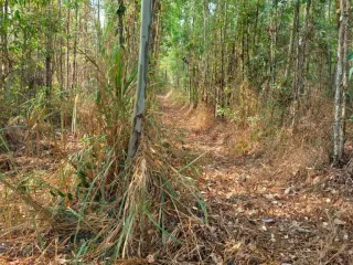 For sale land in Mueang Sa Kaeo, Sa Kaeo