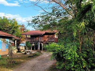 For sale land in Taphan Hin, Phichit