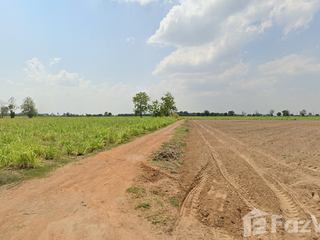 For sale land in Noen Kham, Chainat
