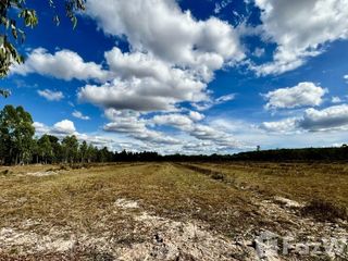 For sale land in Seka, Bueng Kan