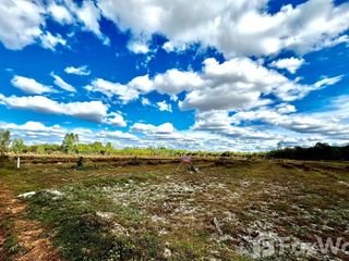 For sale land in Seka, Bueng Kan