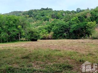 For sale land in Mueang Phuket, Phuket
