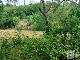 For sale land in Mueang Phuket, Phuket