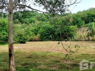 For sale land in Mueang Phuket, Phuket