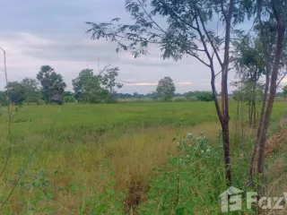 For sale land in Sak Lek, Phichit