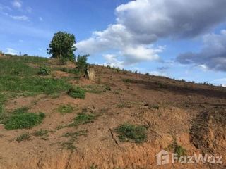For sale land in Pai, Mae Hong Son