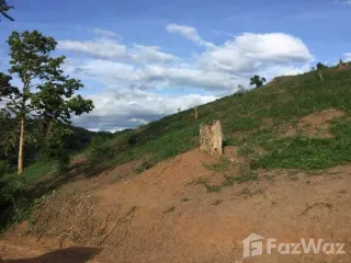 For sale land in Pai, Mae Hong Son