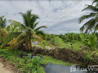 For sale land in Mueang Lamphun, Lamphun