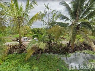 For sale land in Mueang Lamphun, Lamphun
