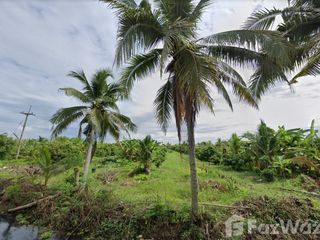 For sale land in Mueang Lamphun, Lamphun