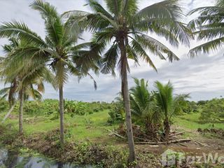For sale land in Mueang Lamphun, Lamphun