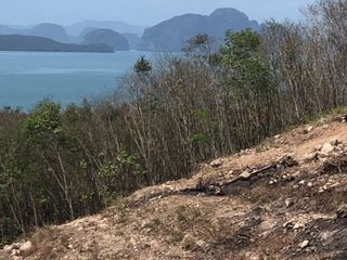 For sale land in Ko Yao, Phang Nga
