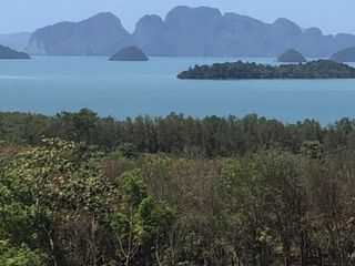For sale land in Ko Yao, Phang Nga