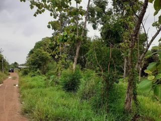 For sale land in Taphan Hin, Phichit