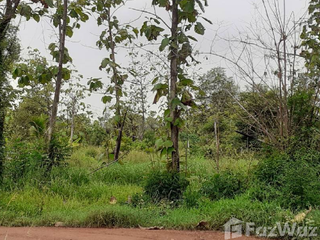 For sale land in Taphan Hin, Phichit