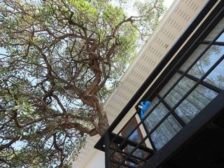 For rent 2 Beds office in Lat Phrao, Bangkok