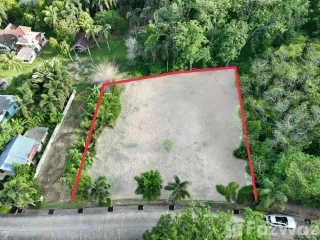 For sale land in Thalang, Phuket