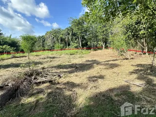For sale land in Thalang, Phuket