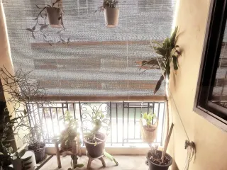 Condo en alquiler de 2 habitaciones en Watthana, Bangkok