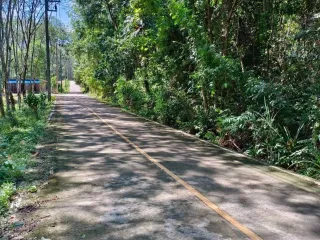 For sale land in Ko Yao, Phang Nga