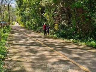 For sale land in Ko Yao, Phang Nga
