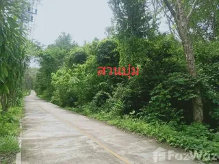 For sale land in Ko Yao, Phang Nga