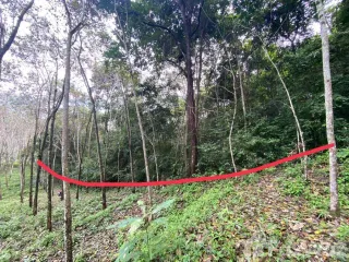 For sale land in Ko Yao, Phang Nga