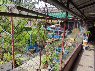 For sale 16 Beds house in Khan Na Yao, Bangkok