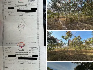 For sale land in Pa Tio, Yasothon