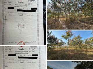 For sale land in Pa Tio, Yasothon