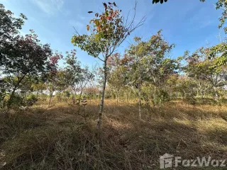 For sale land in Pa Tio, Yasothon