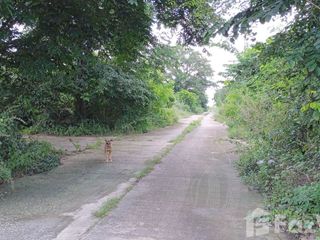 For sale land in Ban Pong, Ratchaburi