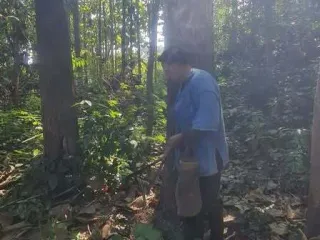 For sale land in Ngao, Lampang