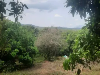 For sale land in Pong Nam Ron, Chanthaburi