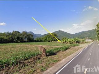 For sale land in Thung Chang, Nan