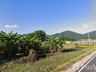 For sale land in Thung Chang, Nan
