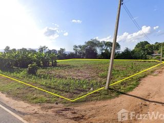 For sale land in Thung Chang, Nan