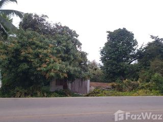 For sale land in Mueang Lamphun, Lamphun
