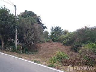 For sale land in Mueang Lamphun, Lamphun