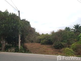 For sale land in Mueang Lamphun, Lamphun