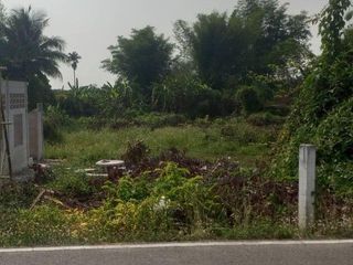 For sale land in Mueang Lamphun, Lamphun