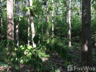 For sale land in Chiang Klang, Nan