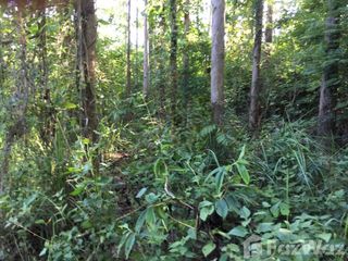 For sale land in Chiang Klang, Nan
