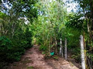 For sale land in Mueang Tak, Tak