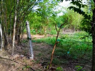 For sale land in Mueang Tak, Tak