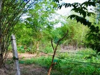 For sale land in Mueang Tak, Tak