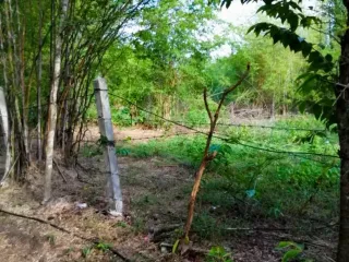 For sale land in Mueang Tak, Tak