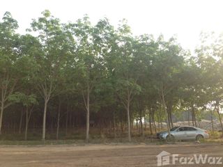 For sale land in Chiang Khong, Chiang Rai