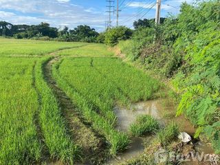 For sale land in Wiang Sa, Nan