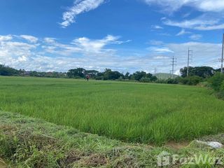 For sale land in Wiang Sa, Nan